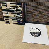 NEW limited 7 Inch Single - The Iguana/Secrets Below The Embassy (FREE Shipping)