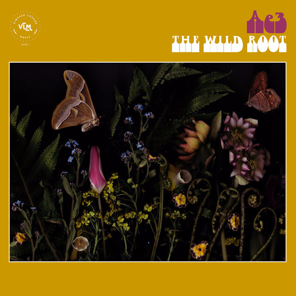 Ae3 (Alan Evans Trio) - The Wild Root (LP & CD) FREE SHIPPING
